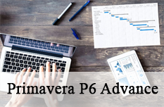 Primavera P6 Advanced Training Course